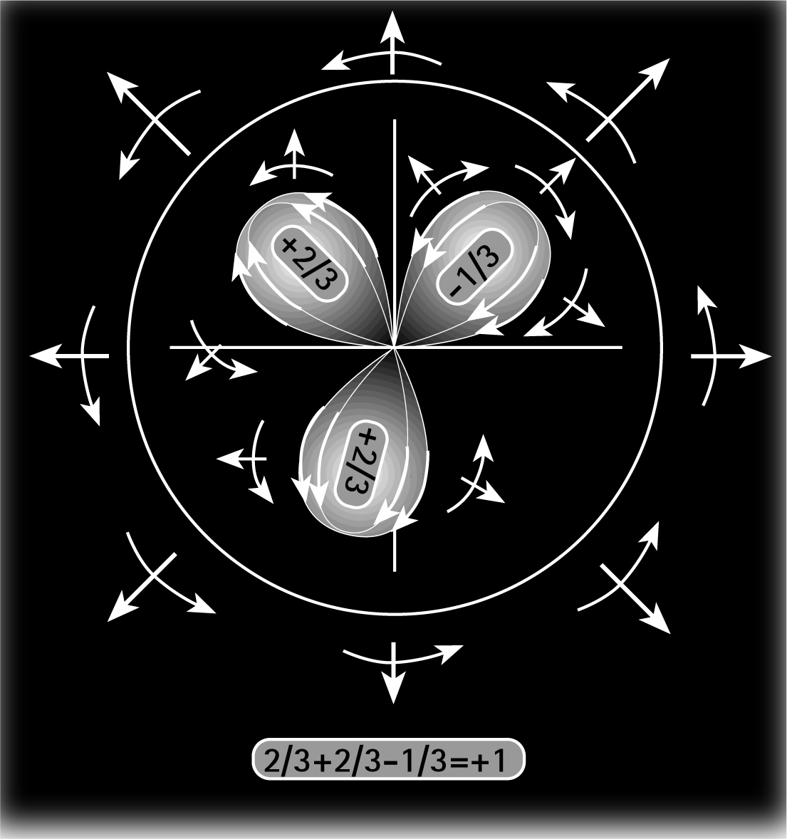 Quarks dynamisch